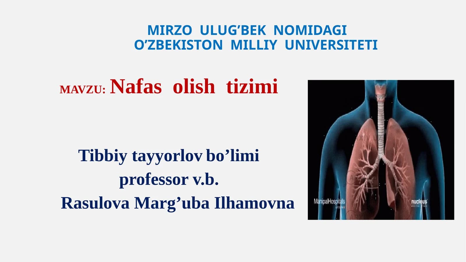 Nafas olish tizimi