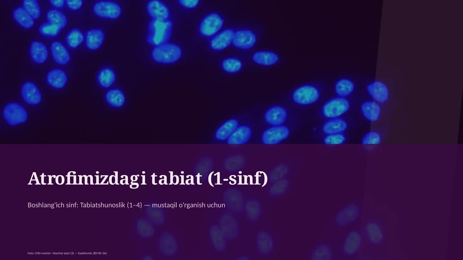 Atrofimizdagi tabiat (1-sinf)