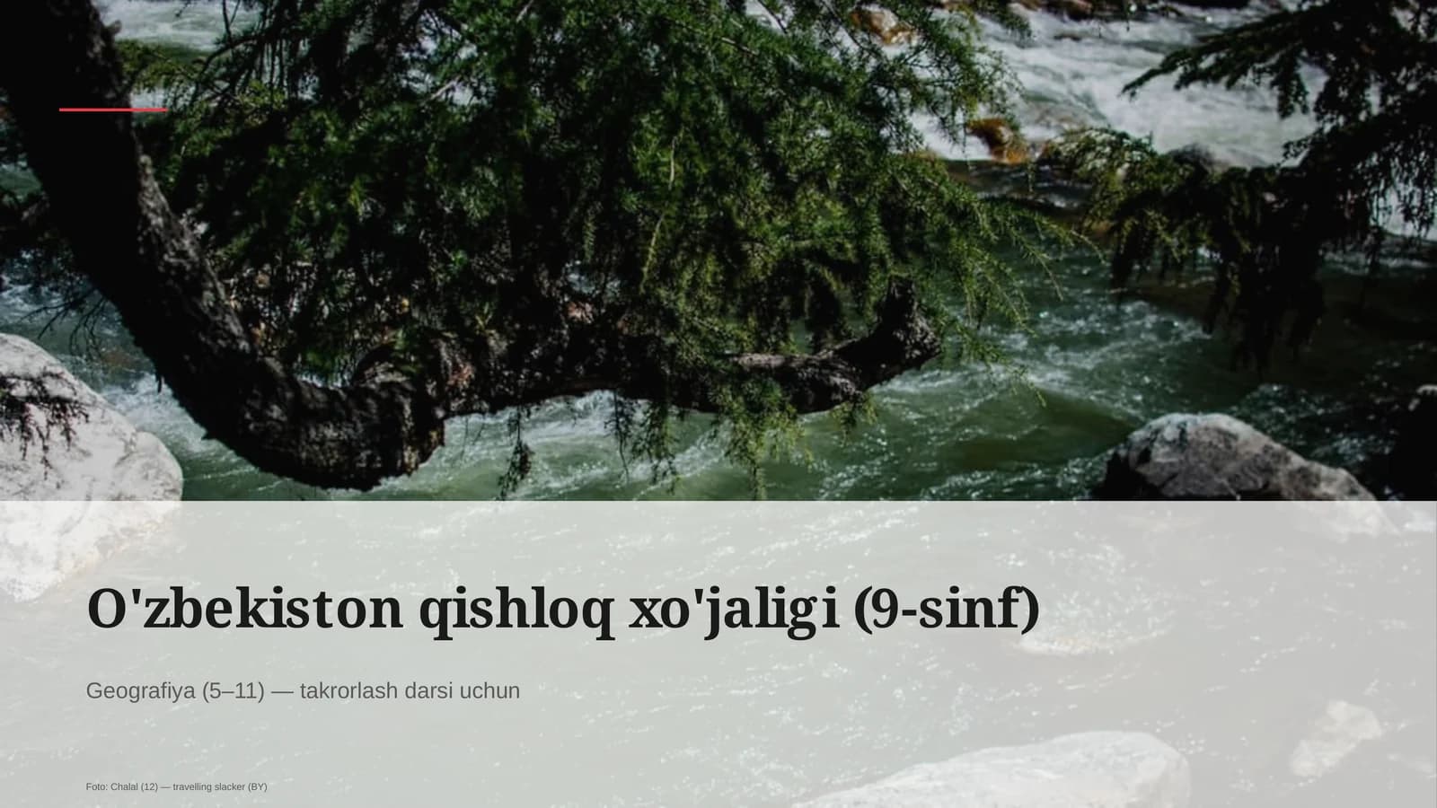 O'zbekiston qishloq xo'jaligi (9-sinf)