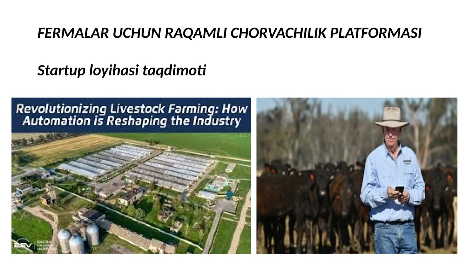 RAQAMLI CHORVACHILIK PLATFORMASI