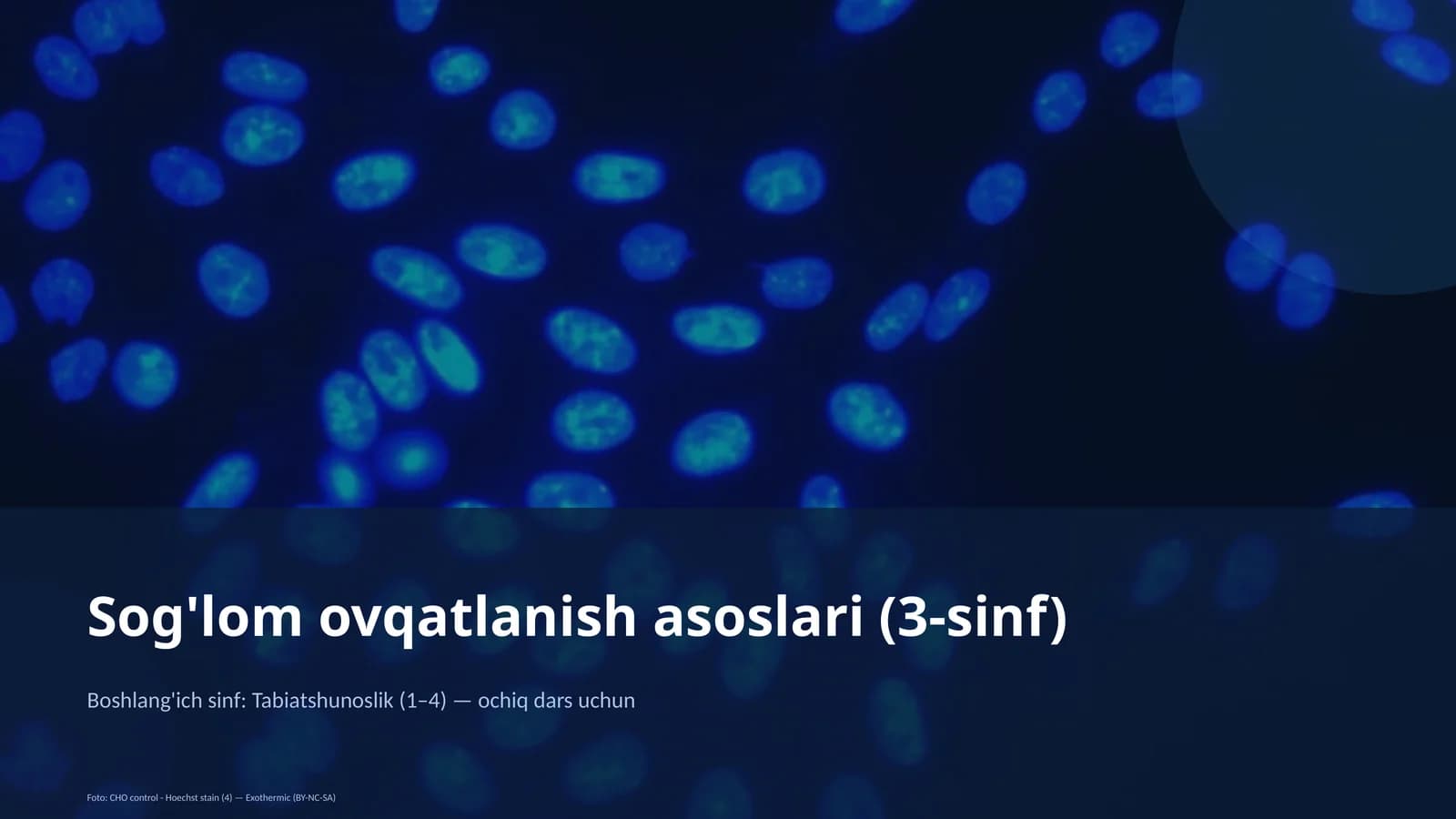 Sog'lom ovqatlanish asoslari (3-sinf)