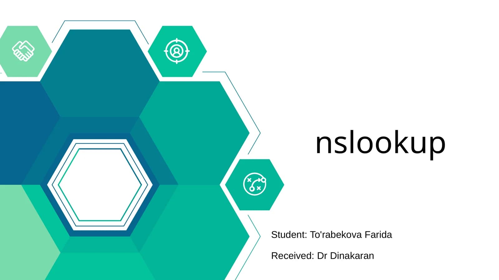 nslookup
