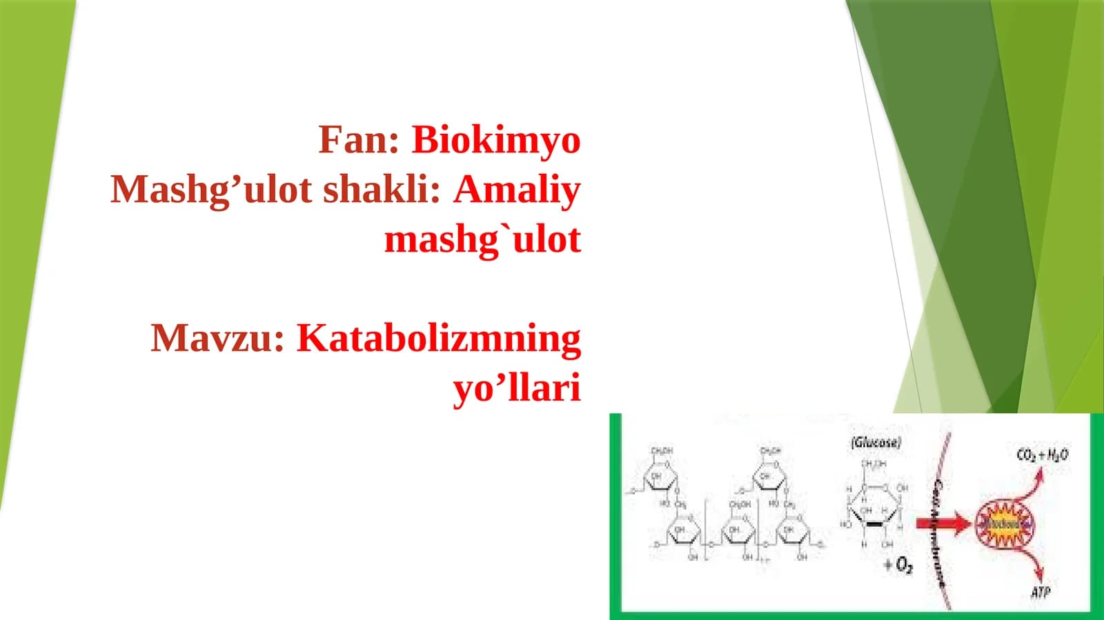 Katabolizmning yo'llari