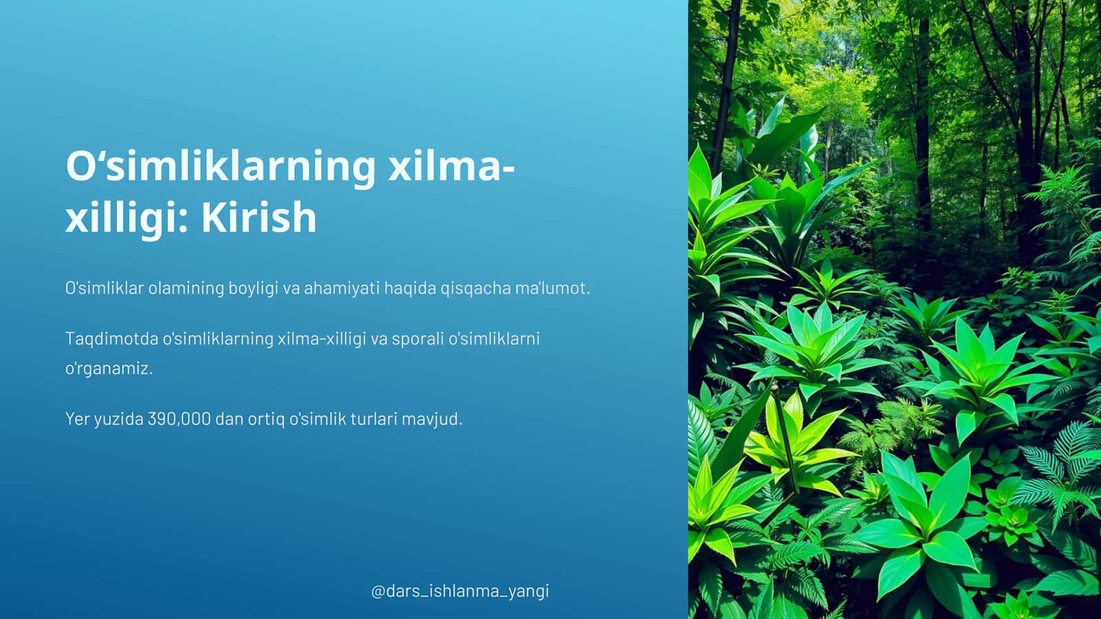 O‘simliklarning xilma-xilligi: Kirish