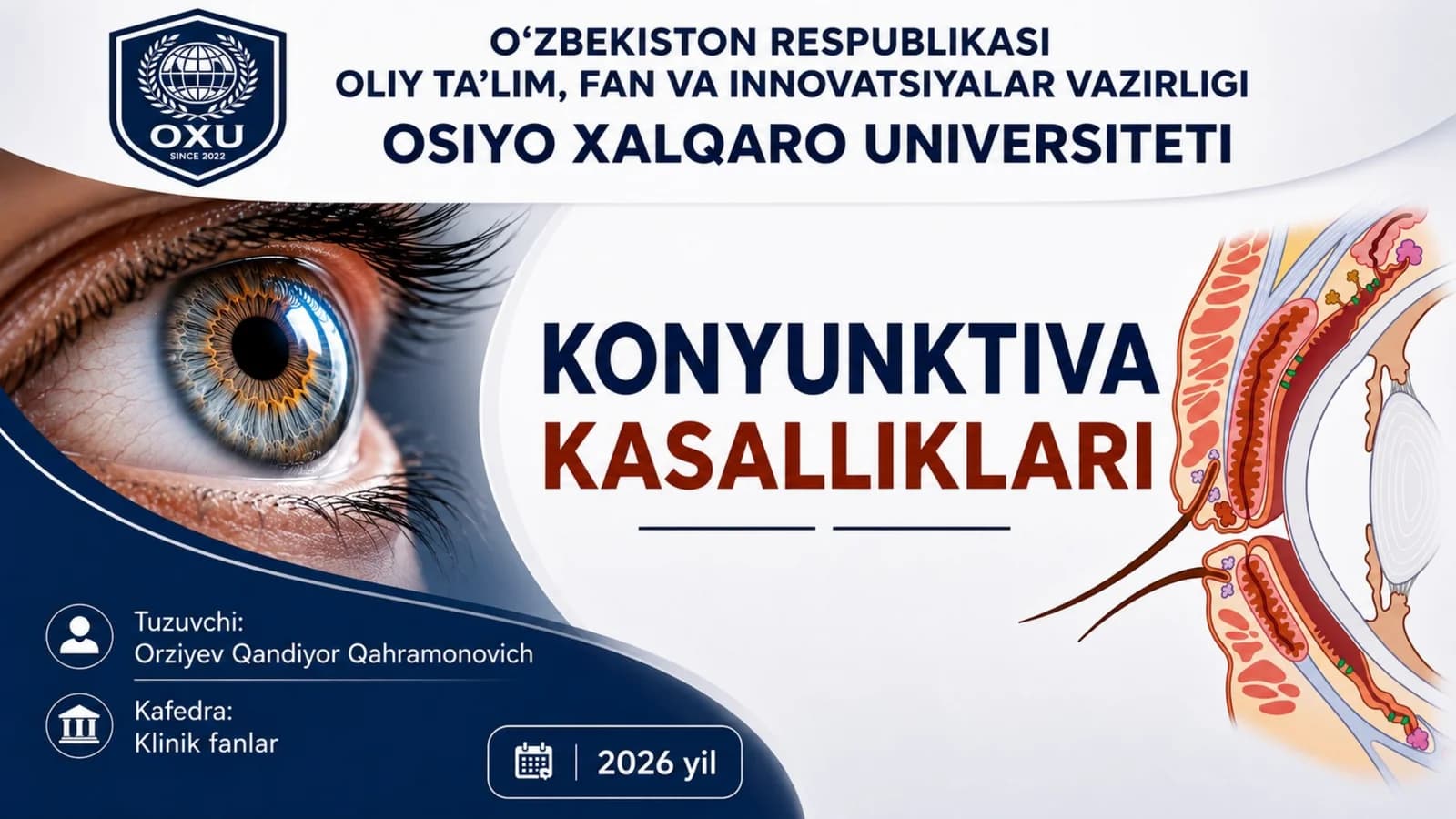 Kon'yunktiva anatomiyasi