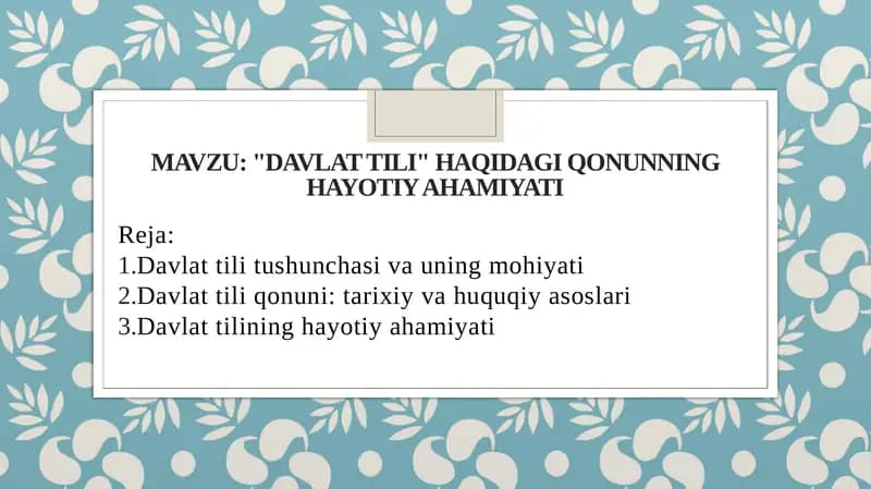 Davlat tili haqidagi qonunning hayotiy ahamiyati