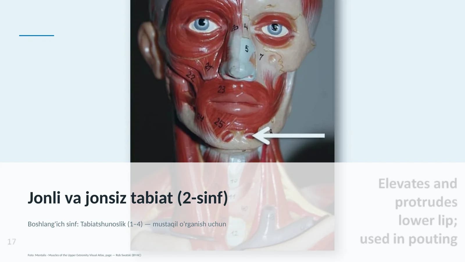 Jonli va jonsiz tabiat (2-sinf)