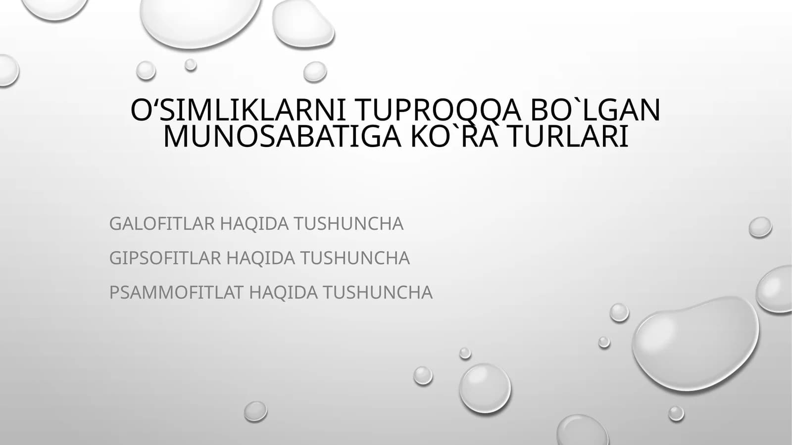 Qumli cho‘lda o‘suvchan yalpi 320 turning 174 tasi qumni sevuvchi