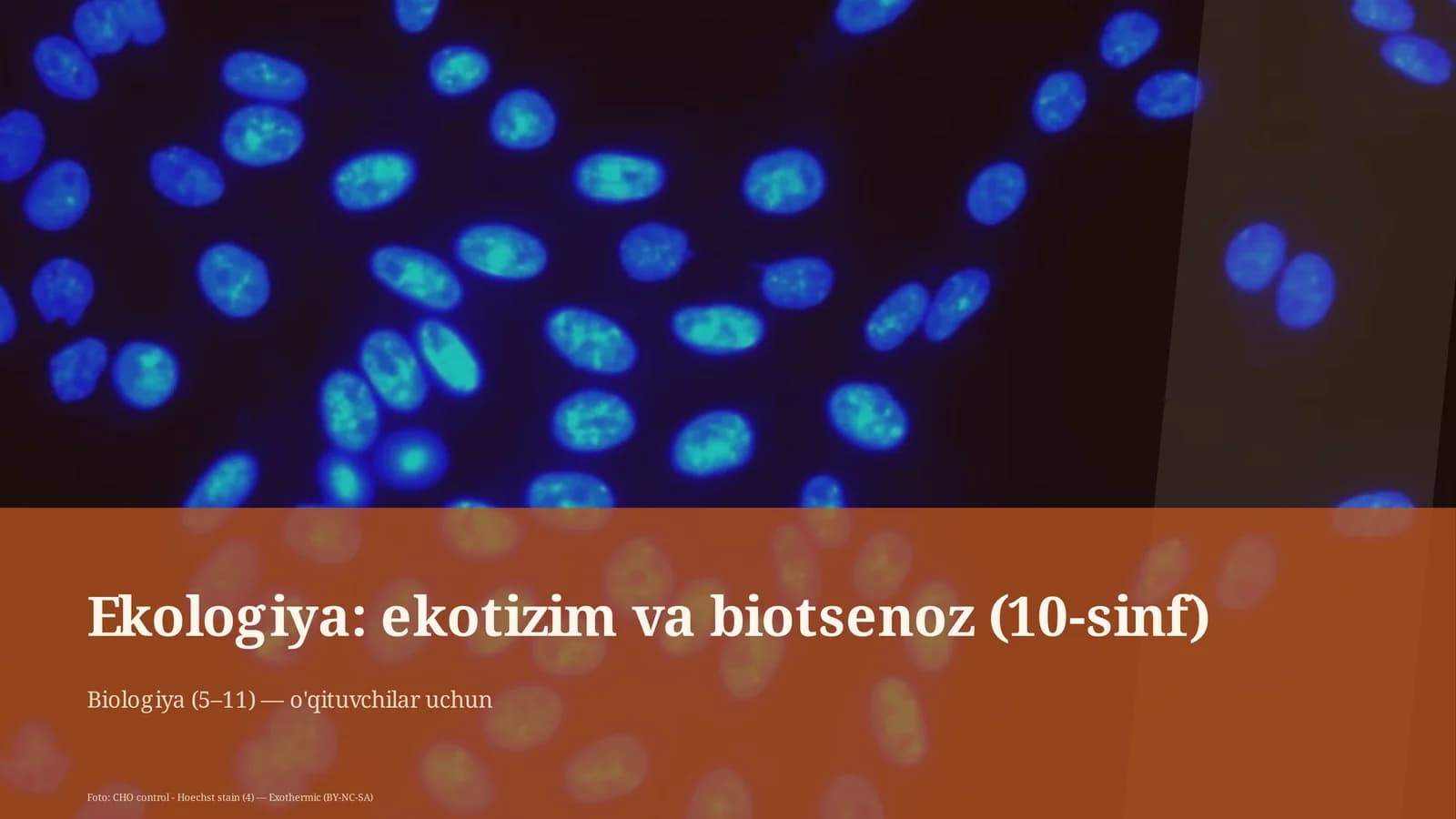 Ekologiya: ekotizim va biotsenoz (10-sinf)
