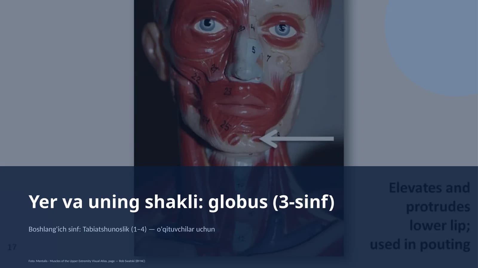 Globus (3-sinf)