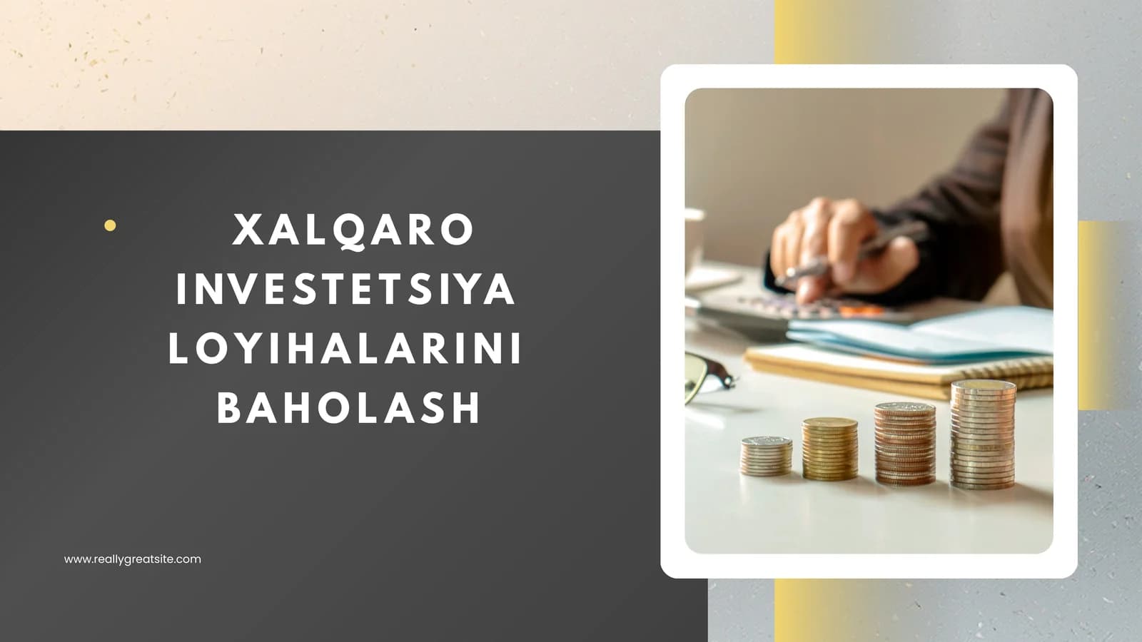XALQARO INVESTETSIYA LOYIHALARINI BAHOLASH