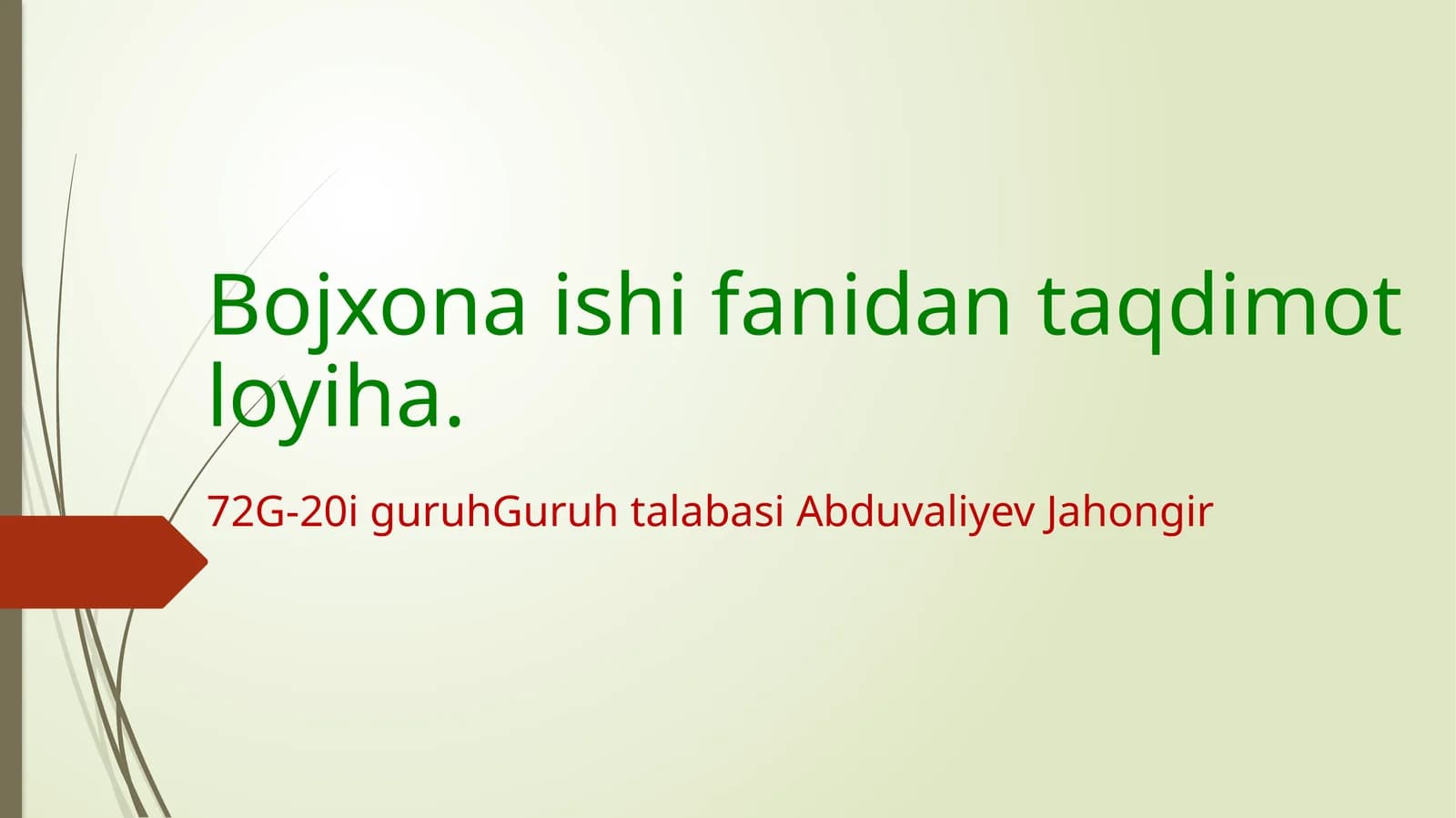 Bojxona ishifa nidan taqdimotlari