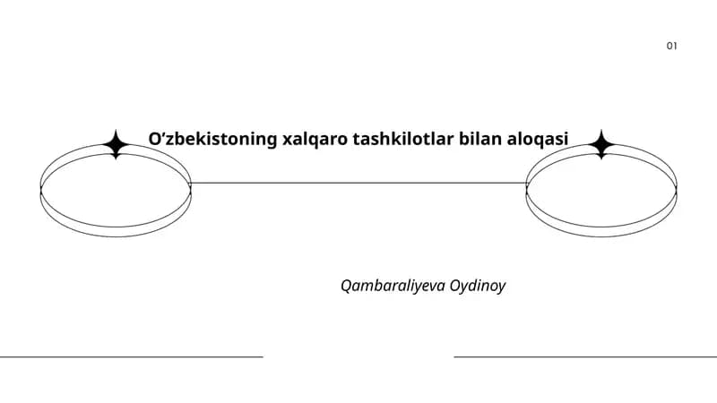 O’zbekistoning xalqaro tashkilotlar bilan aloqasi