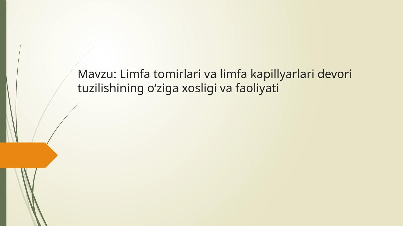 LimfatomirlarivaLimfakapillyarlaridevorituzilishiningo‘zigaxosligivafaoliyati