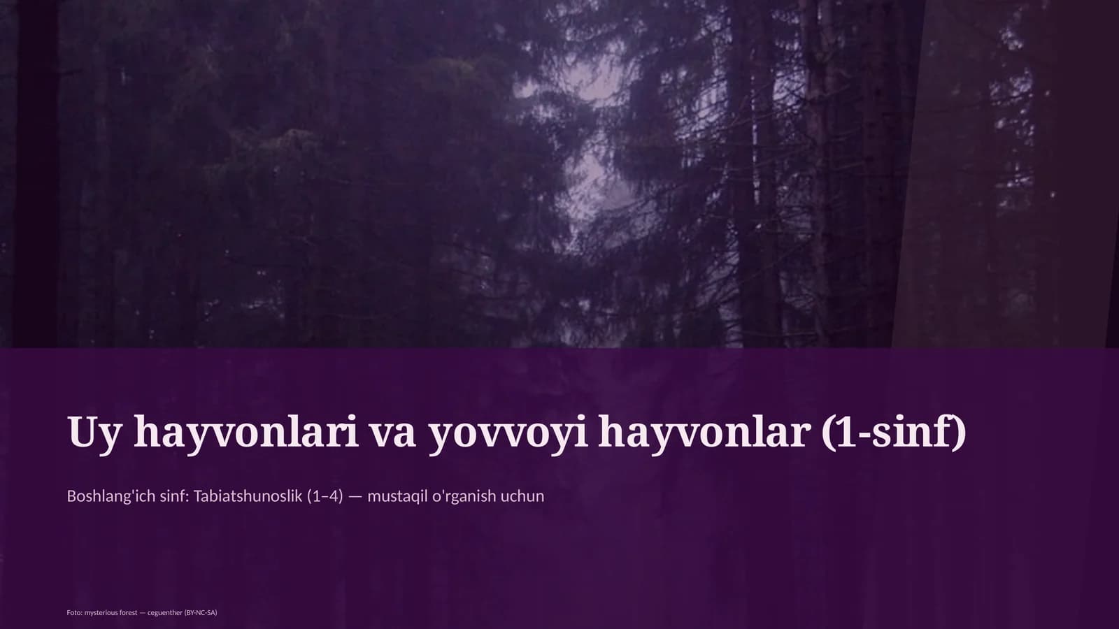 Uy hayvonlari va yovvoyi hayvonlar (1-sinf)