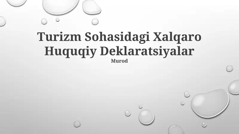 Turizm Sohasidagi Xalqaro Huquqiy Deklaratsiyalar