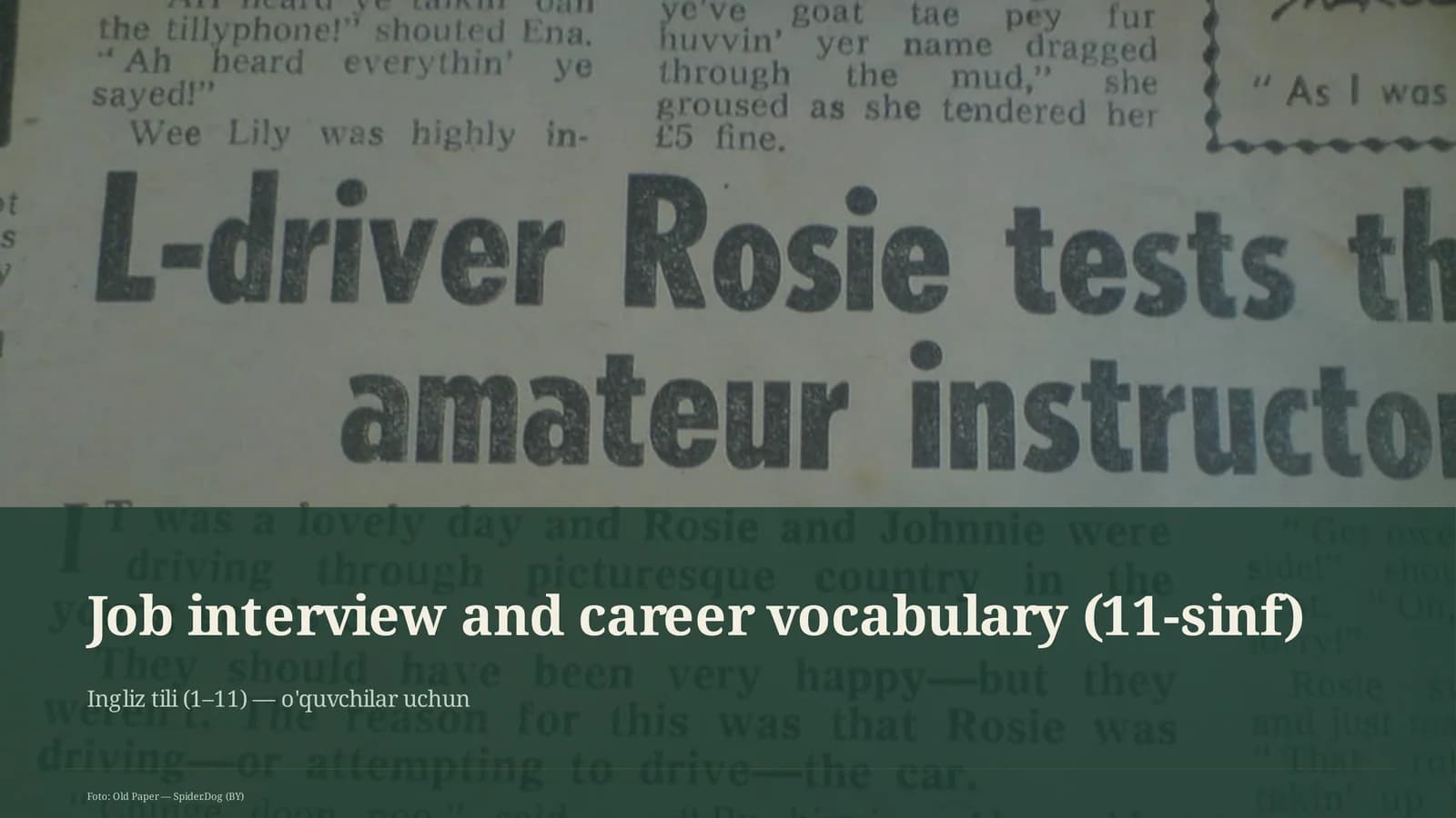 Job interview and career vocabulary (11-sinf)