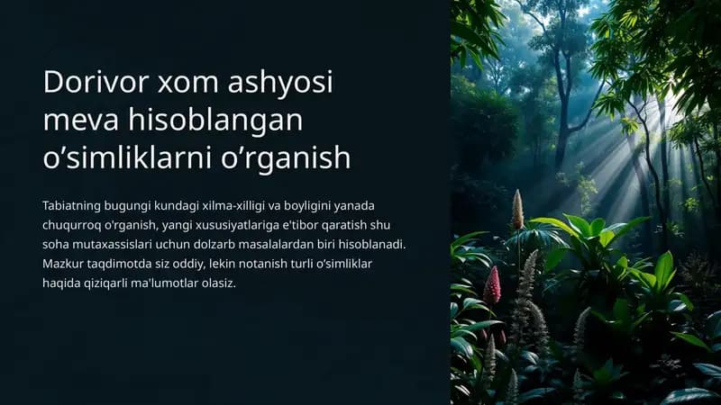 Oddiy archa