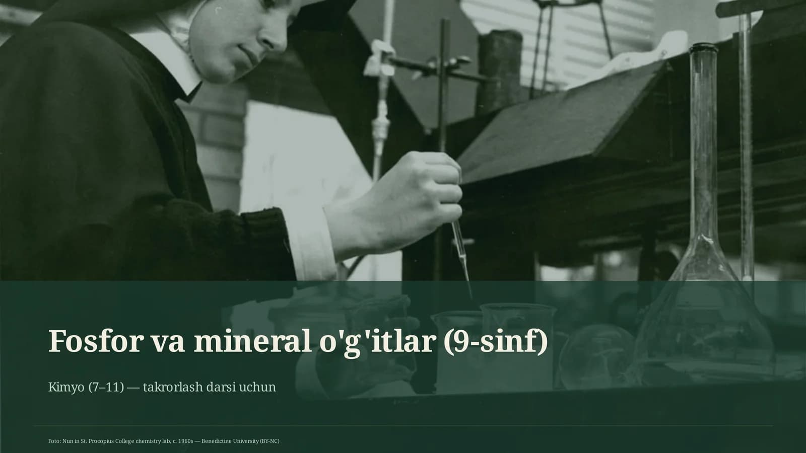 Fosfor va mineral o'g'itlar (9-sinf)