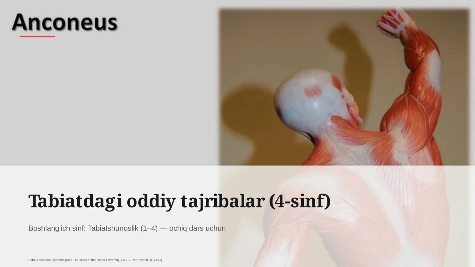 Tabiatdagi oddiy tajribalar (4-sinf)