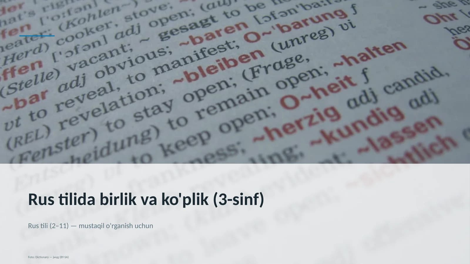 Rus tilida birlik va ko'plik (3-sinf)