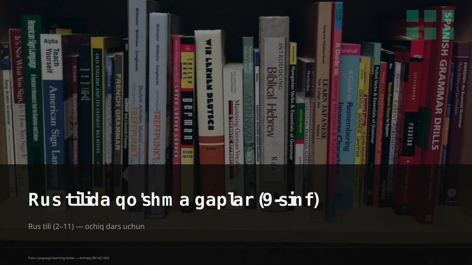 Rus tilida qo'shma gaplar (9-sinf)