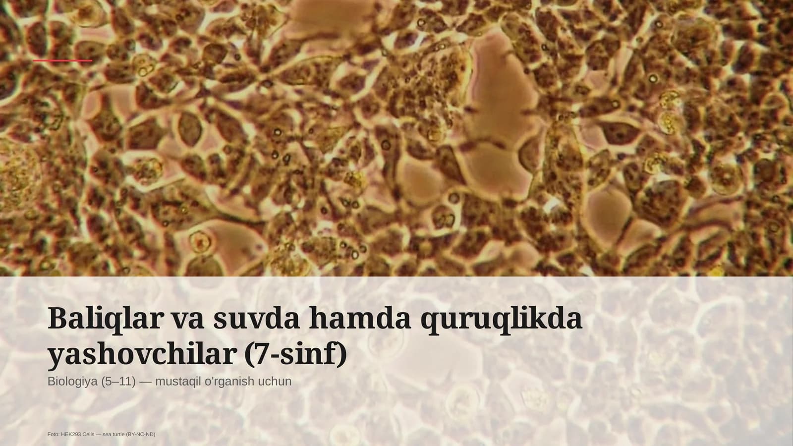 Baliqlar va suvda hamda quruqlikda yashovchilar (7-sinf)