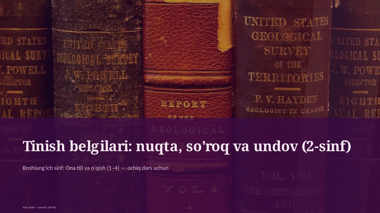 Tinish belgilari: nuqta, so'roq va undov (2-sinf)