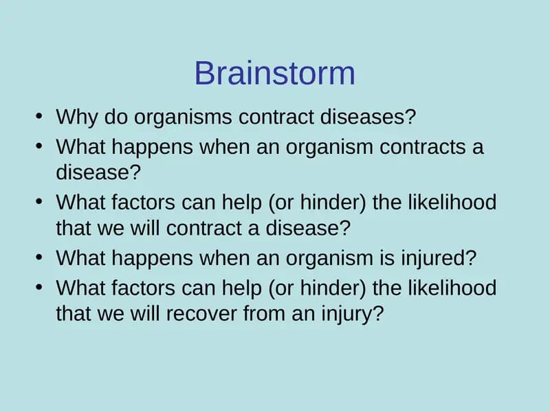 Brainstorm