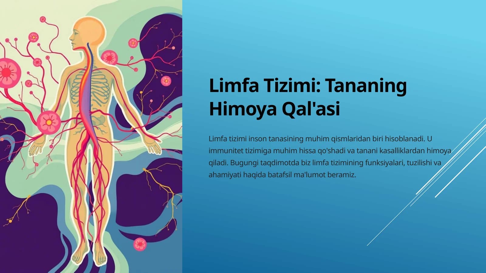 Limfa Tizimi Tananing Himoya Qal'asi