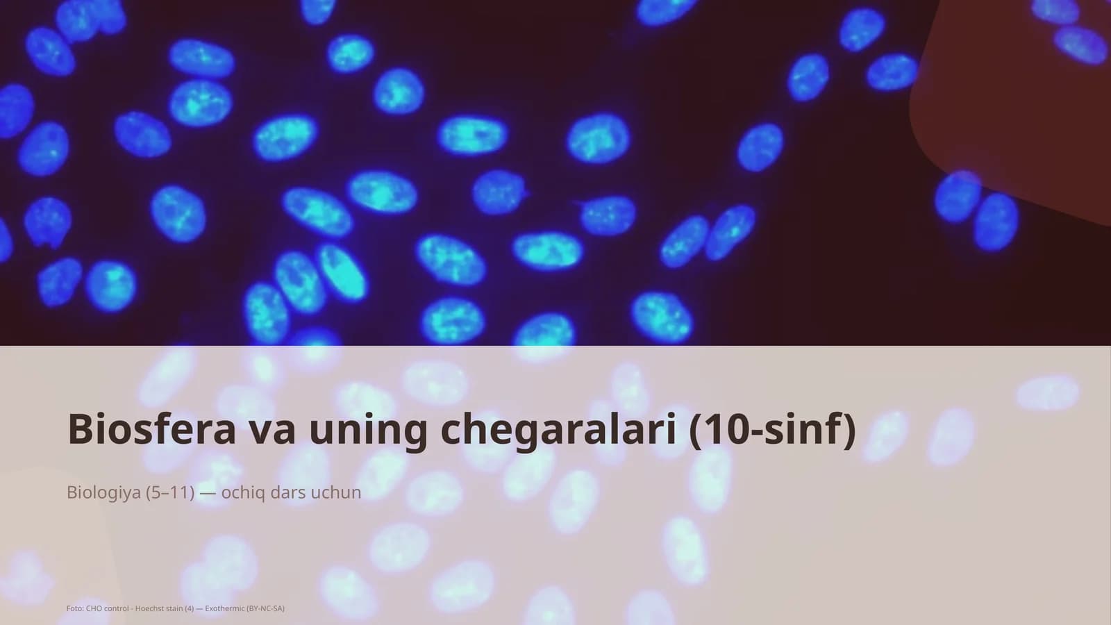 Biosfera va uning chegaralari (10-sinf)