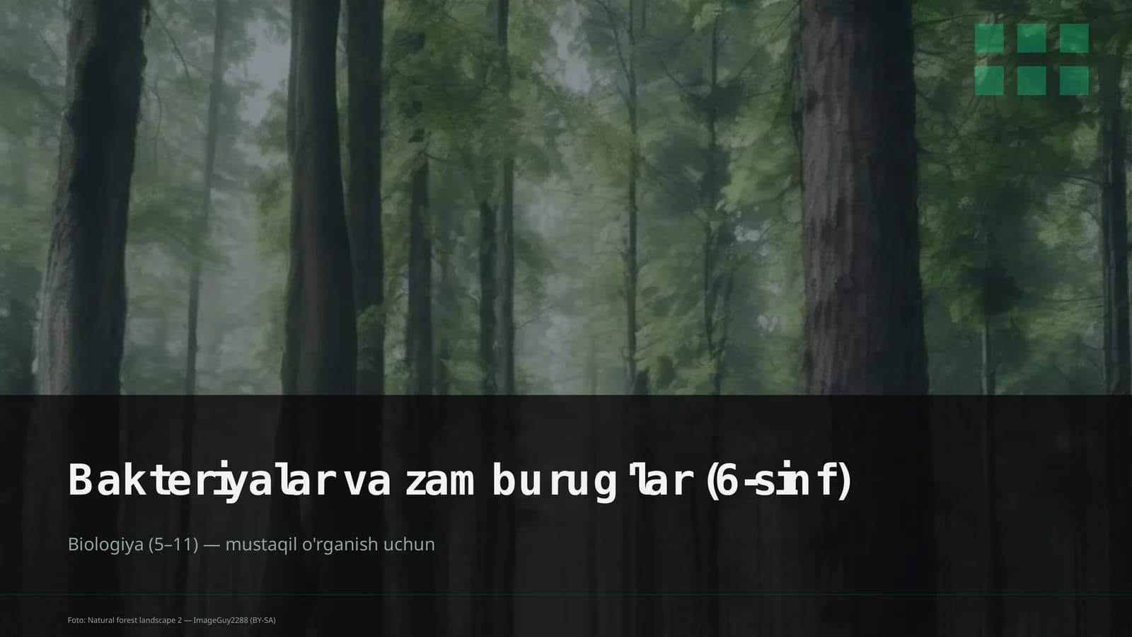 Bakteriyalar va zamburug'lar (6-sinf)