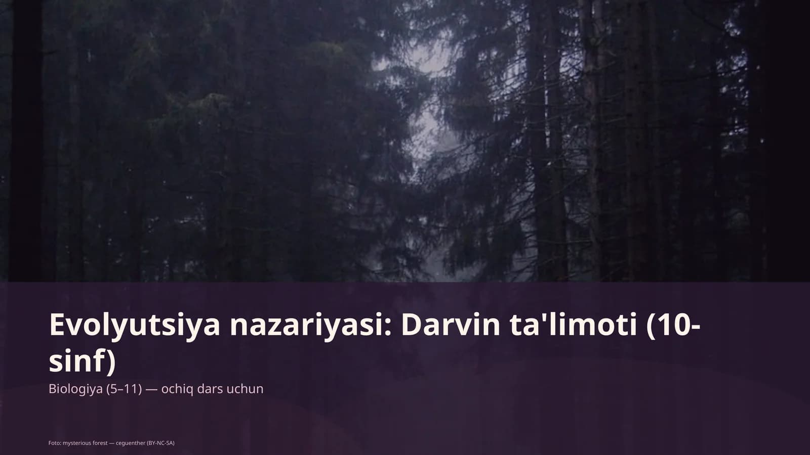 Evolyutsiya nazariyasi: Darvin ta'limoti (10-sinf)