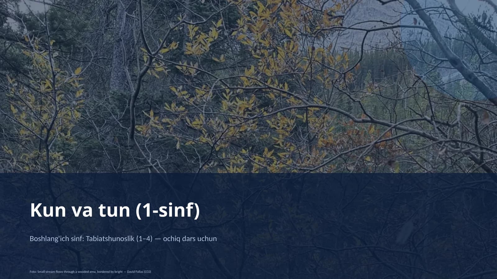 Kun va tun (1-sinf)