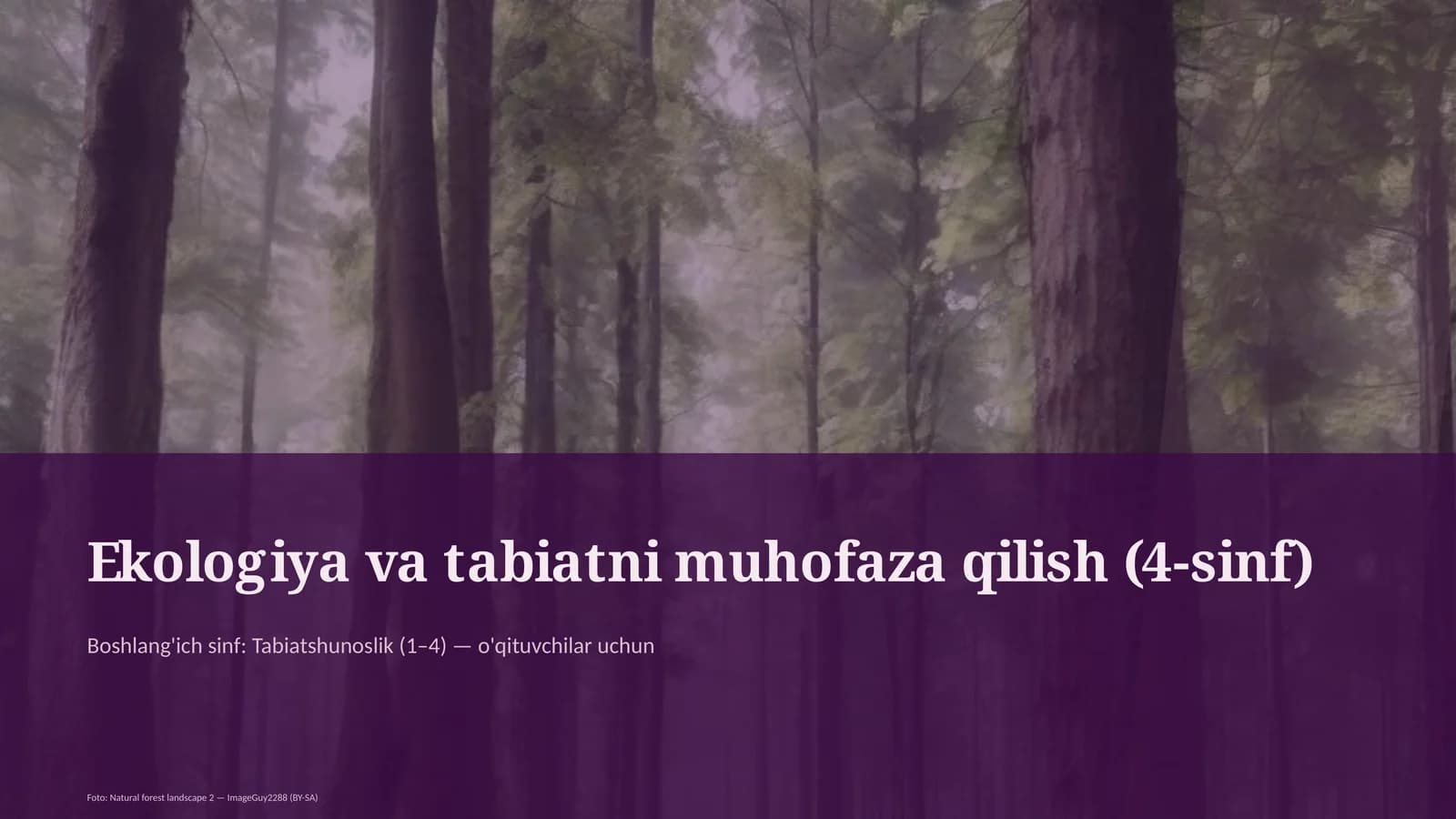 Ekologiya va tabiatni muhofaza qilish (4-sinf)