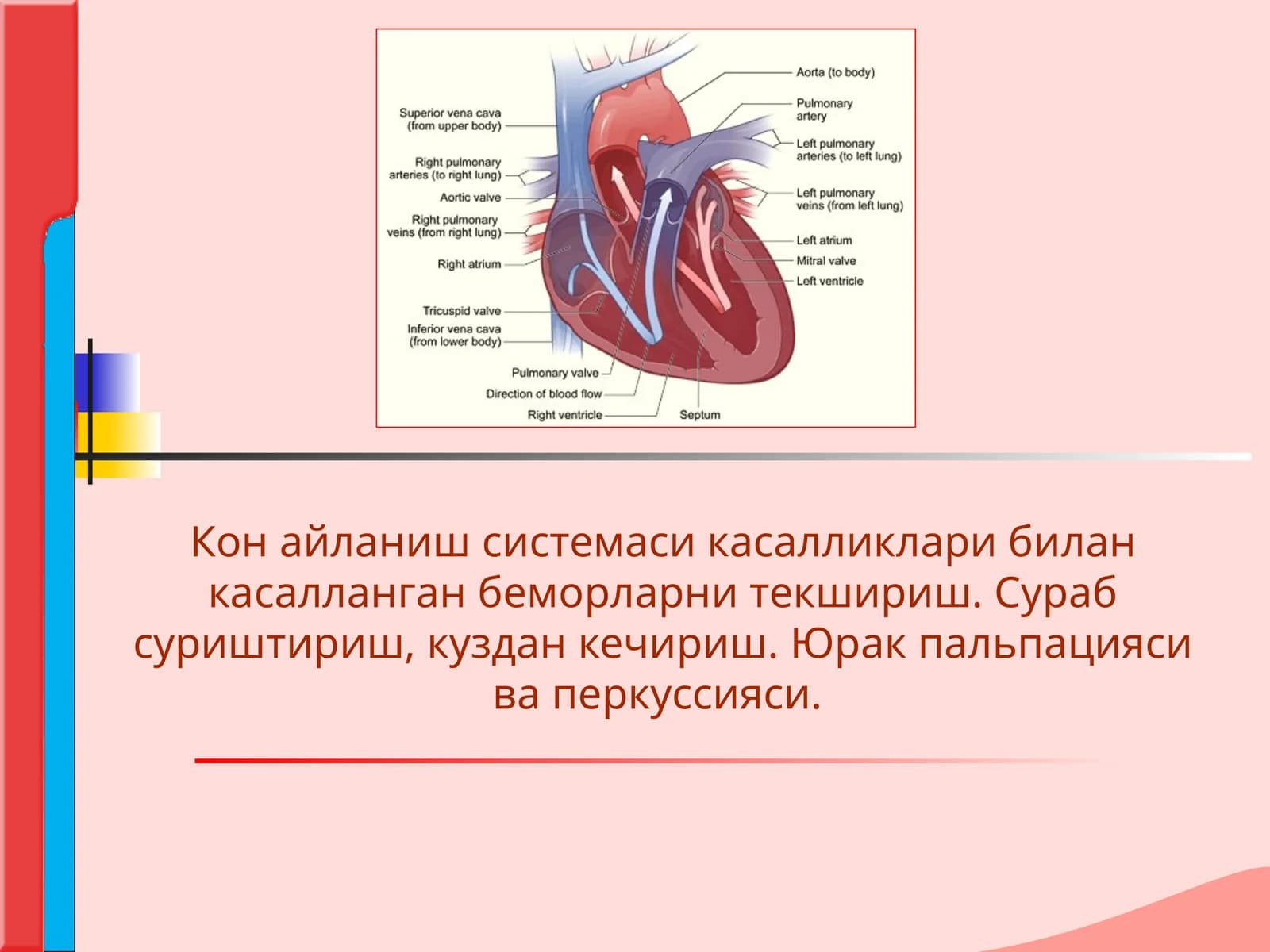 Кон айланиш системаси касалликлари билан касалланган беморларни текшириш