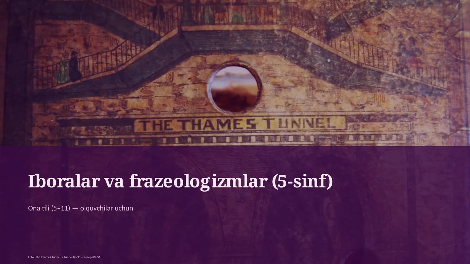 Iboralar va frazeologizmlar (5-sinf)