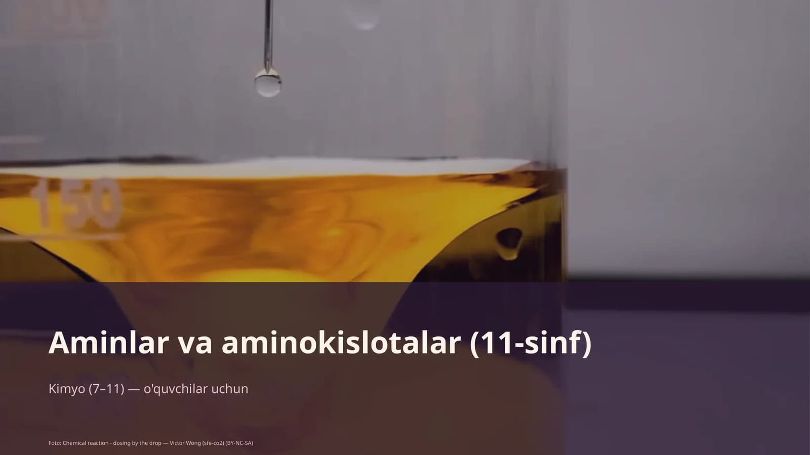 Aminlar va aminokislotalar (11-sinf)