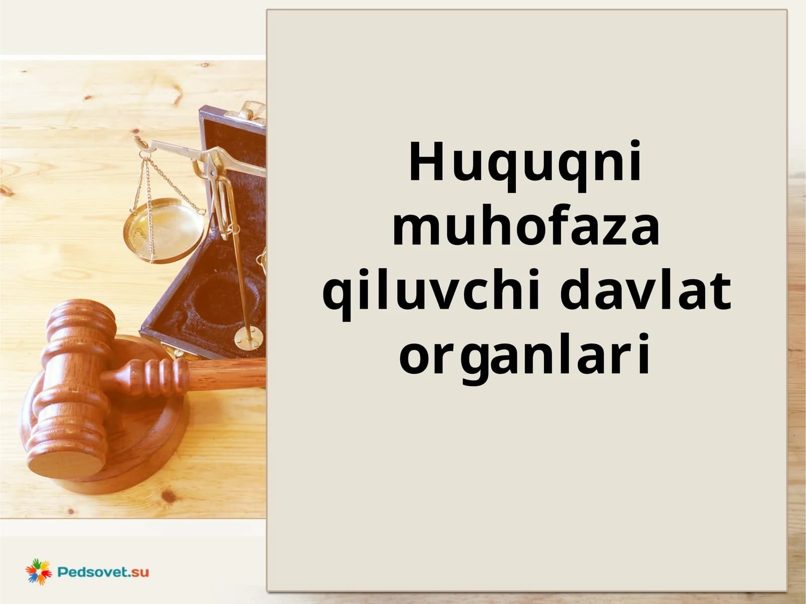 Huquqni muhofaza qiluvchi davlat organlari