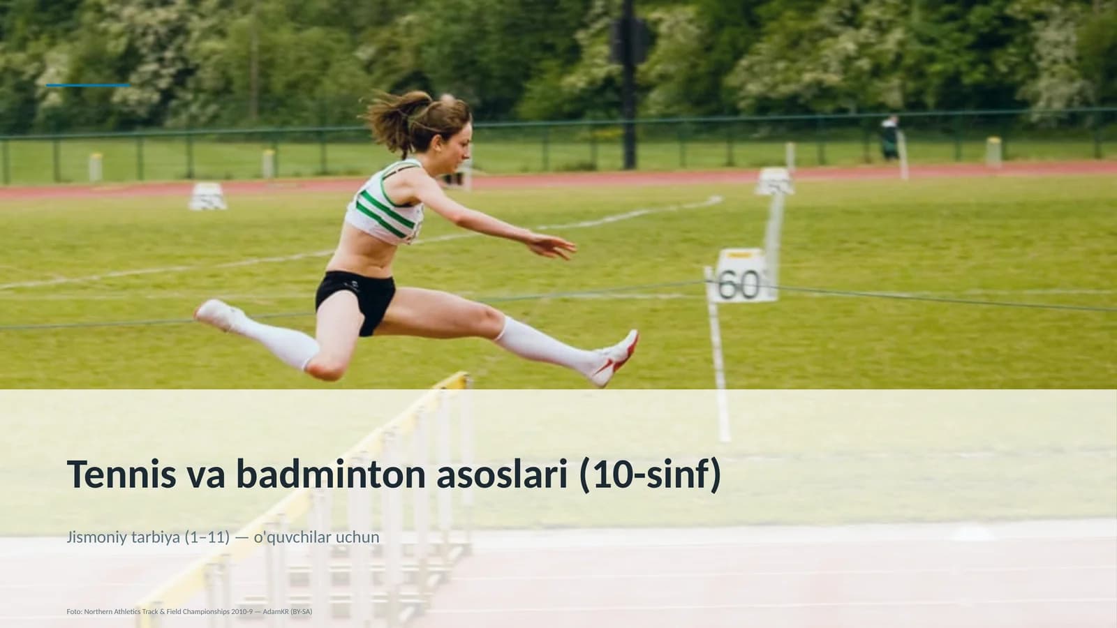 Tennis va badminton asoslari (10-sinf)