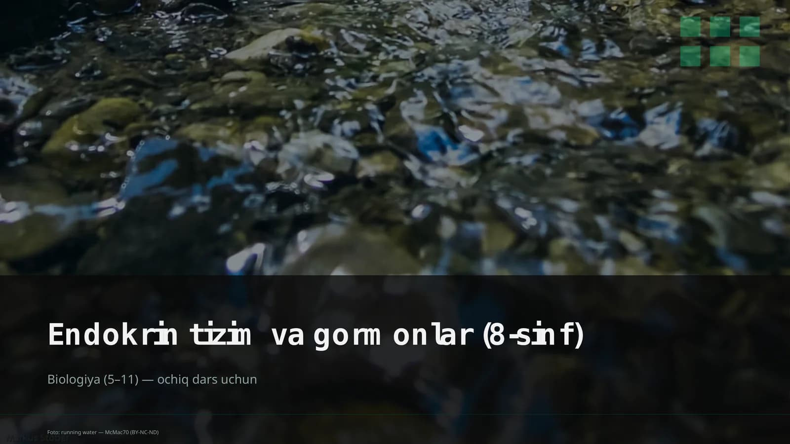 Endokrin tizim va gormonlar (8-sinf)
