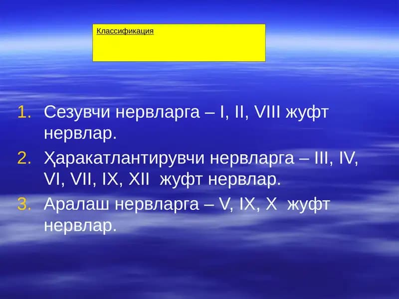 Нервлар классификацияси