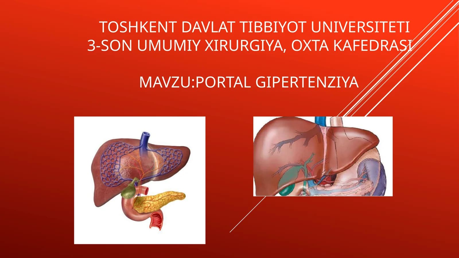 Portal Gipertenziya