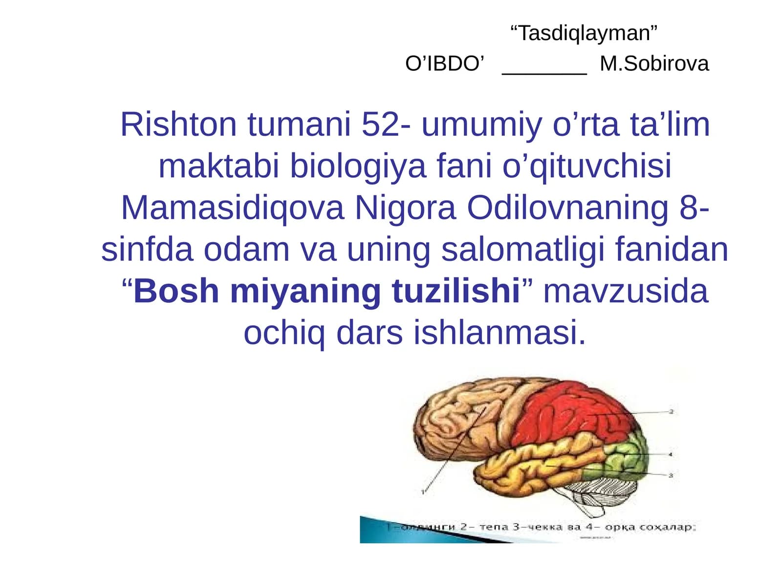 8-sinf Odam va uning salomatligi fanidan Bosh miyaning tuzilishi ochiq dars ishlanmasi