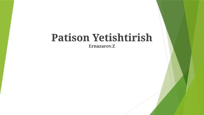 Patison Yetishtirish