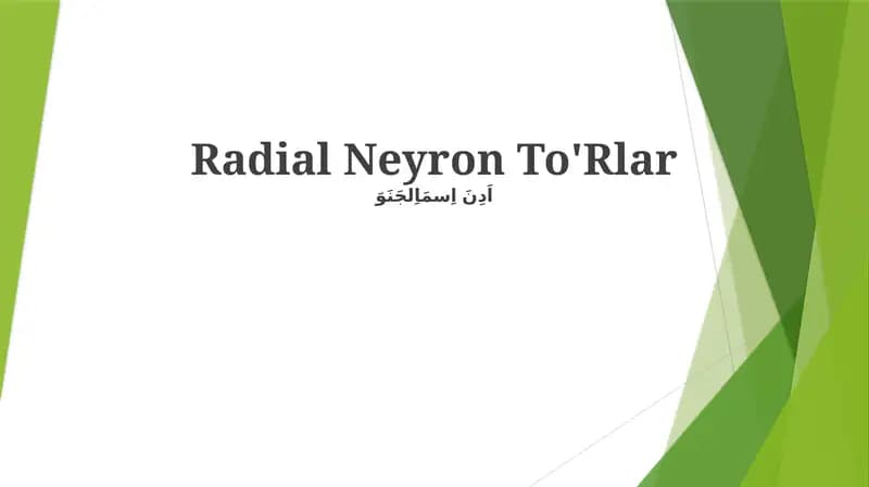 Radial Neyron To'Rlar