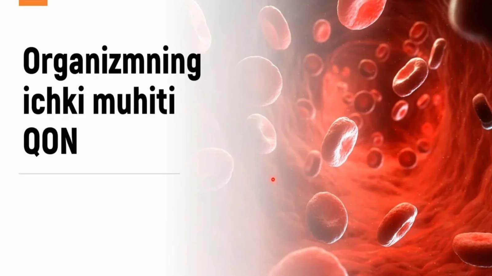 Organizmning ichki muhiti Qon