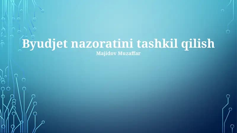Byudjet nazoratini tashkil qilish