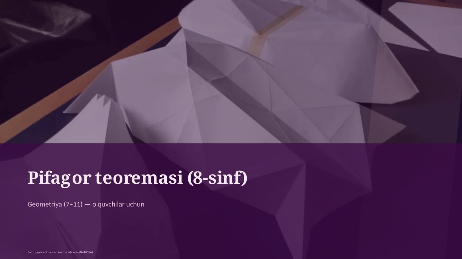 Pifagor teoremasi (8-sinf)