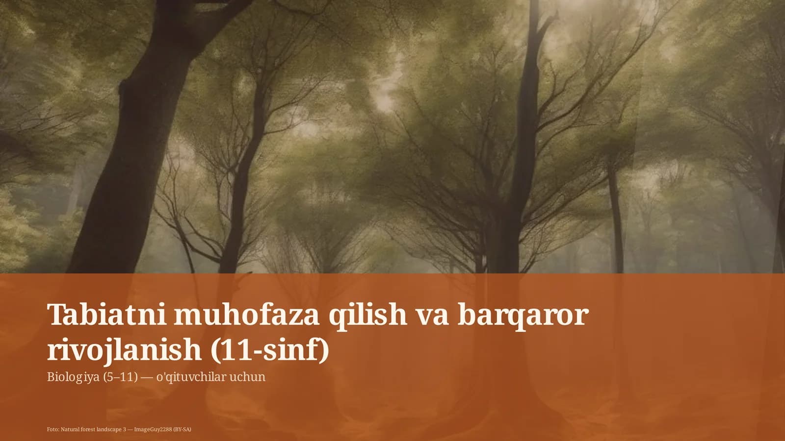 Tabiatni muhofaza qilish va barqaror rivojlanish (11-sinf)